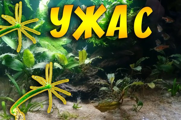 Где найти ссылку кракен